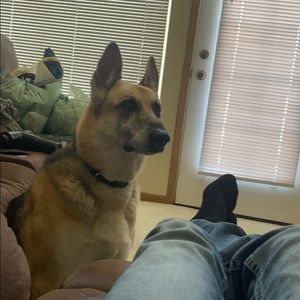 Meet your Posher, Kyle